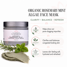Load image into Gallery viewer, Organic Rosemary Mint Algae Face Mask for Acne & Rosacea