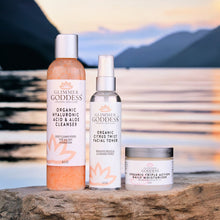 Load image into Gallery viewer, Organic 3-Step Anti-Aging Skin Care Routine
