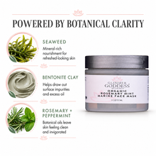 Load image into Gallery viewer, Organic Rosemary Mint Algae Face Mask for Acne &amp; Rosacea

